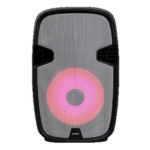 PARLANTE HALION DE 600W 8 PULGADAS