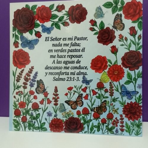 Cuadro Decorativo 25 x 25 cm